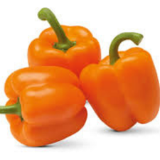 MORRON NARANJA KG