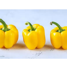 MORRON AMARILLO KG