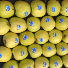 MANZANA GOLDEN 150 KG