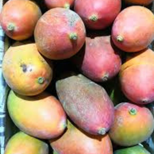 MANGO ORO KG