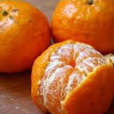 MANDARINA MONICA KG