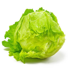 LECHUGA ROMANA