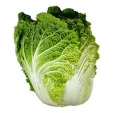 LECHUGA CHICORIA KG