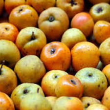 TEJOCOTE EXTRA KG