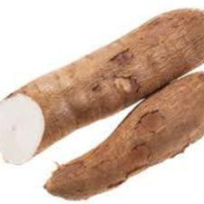 YUCA KG