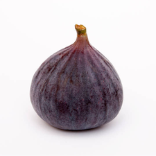 HIGOS