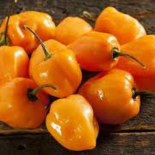 HABANERO NARANJA KG