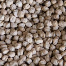 GARBANZO KG