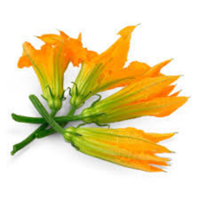 FLOR DE CALABAZA KG