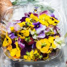 FLOR COSMESTIBLE DOMO