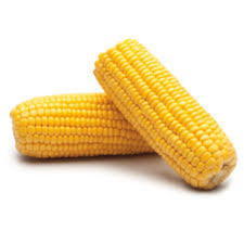 ELOTE AMARILLO PZ