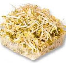 DOMO DE GERMEN DE SOYA