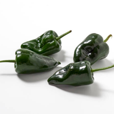 CHILE POBLANO