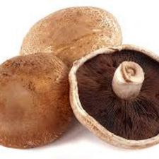 CHAMPIÑON PORTOBELLO KG