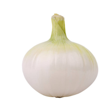 CEBOLLA BLANCA