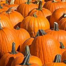 CALABAZA AMERICANA KG