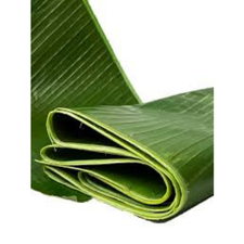 HOJA DE PLATANO MJO