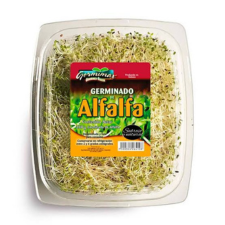 GERMEN DE ALFALFA KG