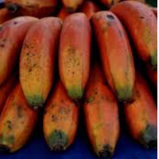 PLATANO MORADO KG