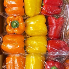 PIMIENTOS MIXTOS