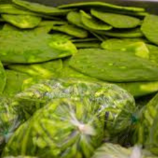 NOPAL LIMPIO KG