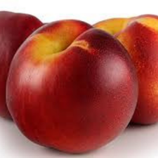 NECTARINA KG