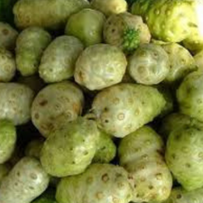 NONI KG