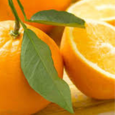 NARANJA SIN SEMILLA KG