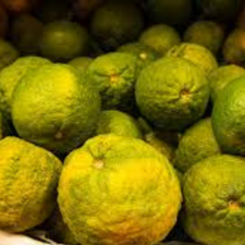 NARANJA AGRIA KG